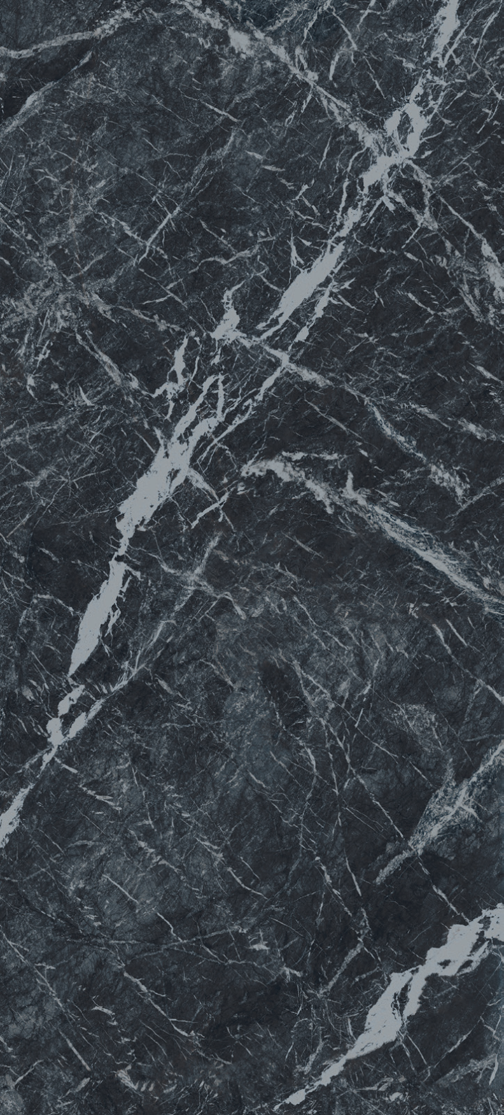GRAND FORMAT 160x320cm – Image 4
