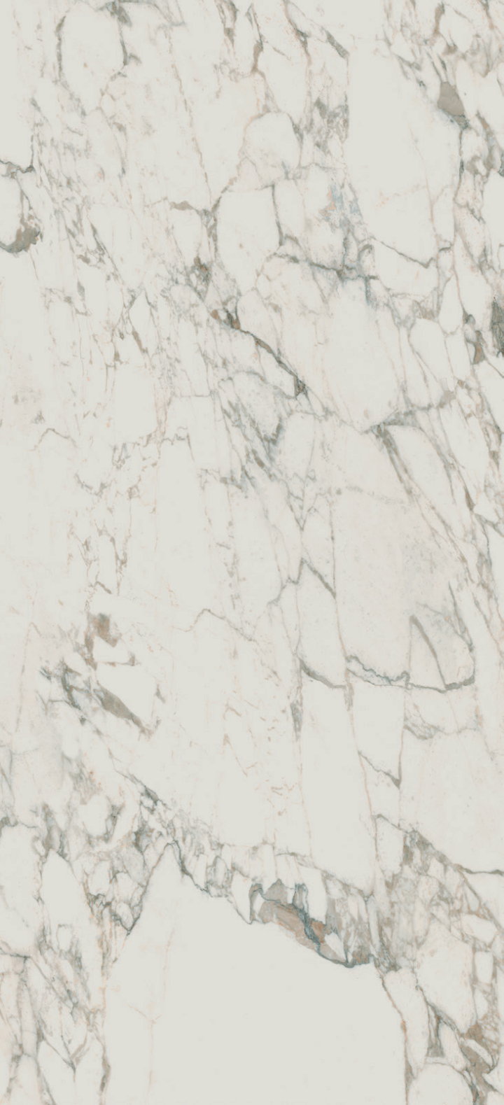 GRAND FORMAT 160x320cm – Image 5
