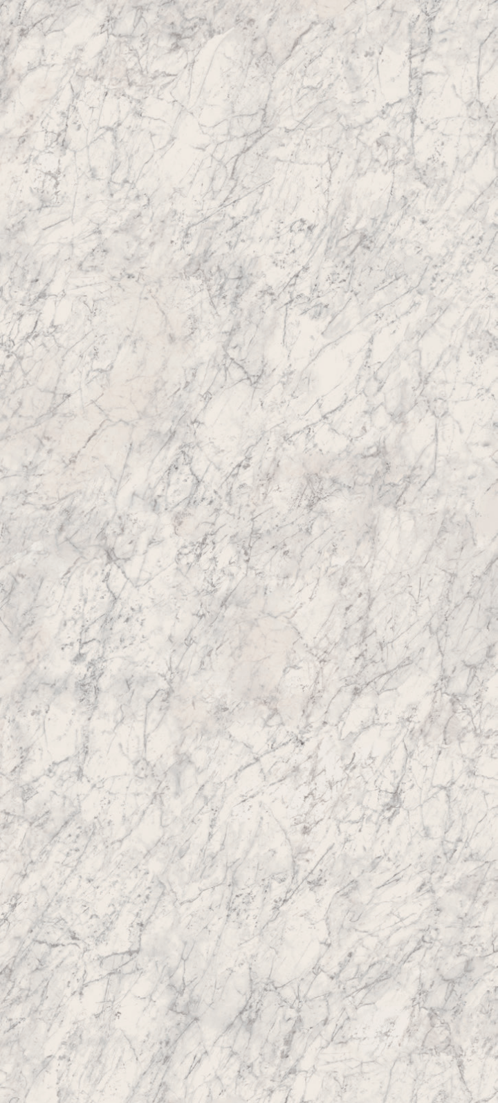 GRAND FORMAT 160x320cm – Image 7